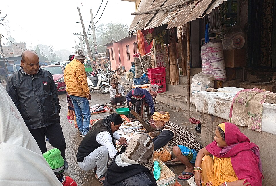 delivery-ready-fish ডেলিভারির জন্য প্রস্তুত